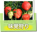 味覚狩り
