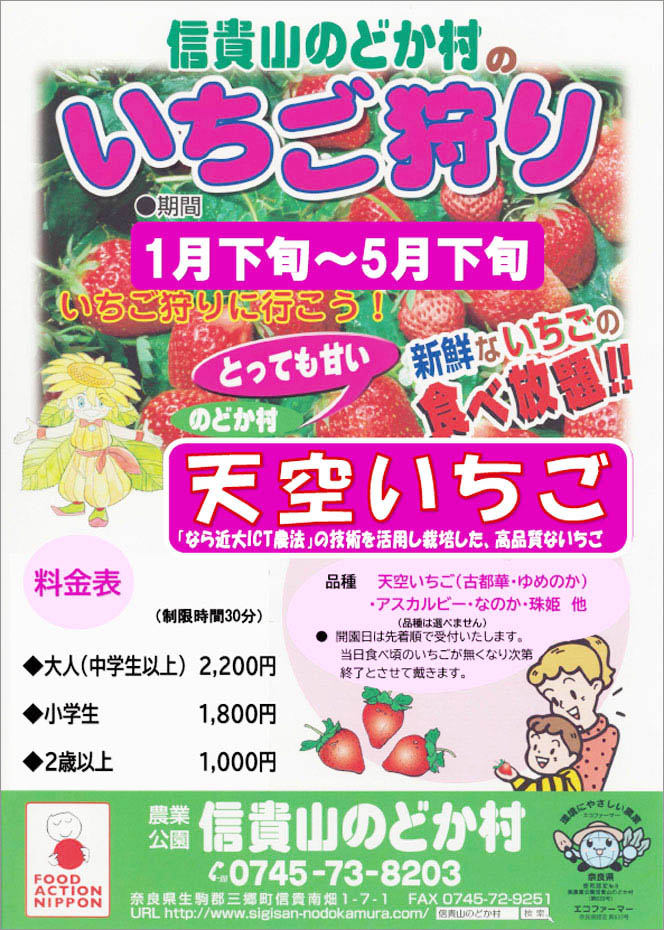 信貴山のどか村のいちご狩り