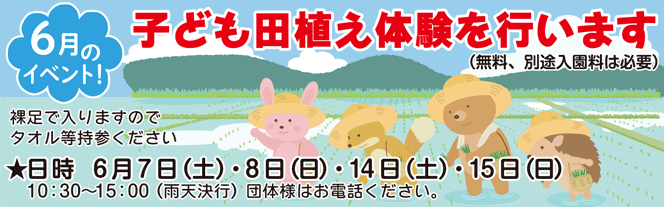 子ども田植え体験を行います