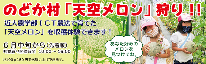 メロン狩り