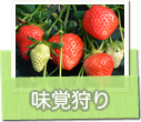味覚狩り